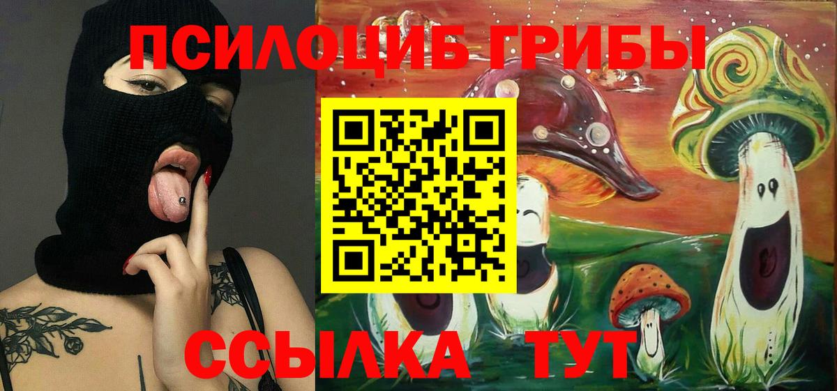 Мценск  Псилоцибиновые грибы ЛСД  Вход с VPN 