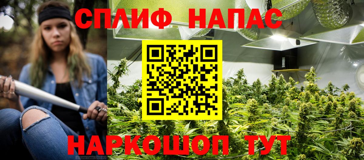 Бошки марихуана MAZAR  Вход с VPN  Мценск  Бошки марихуана ГИДРОПОН 